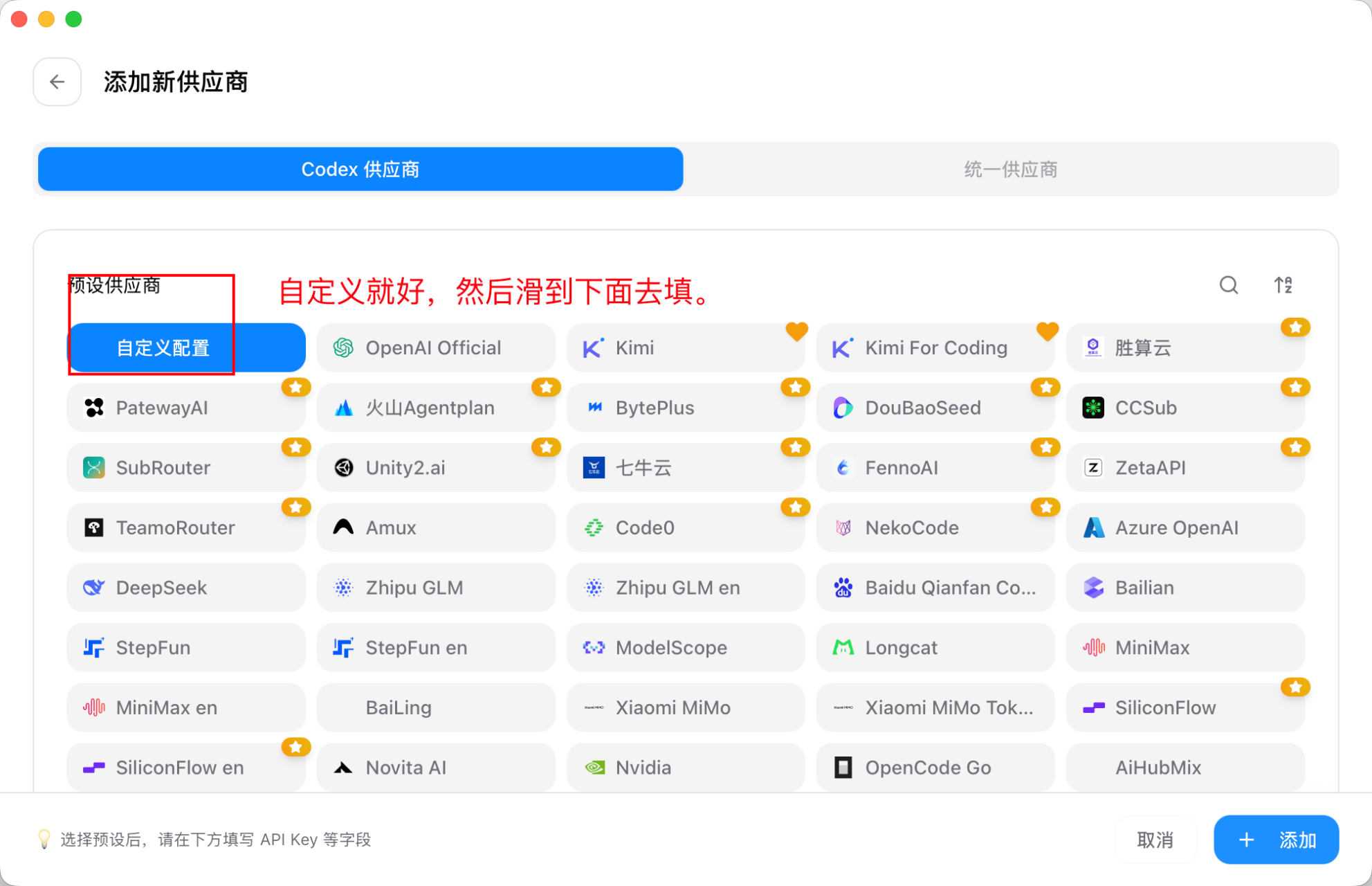 CC Switch 添加新供应商页面中的自定义配置入口