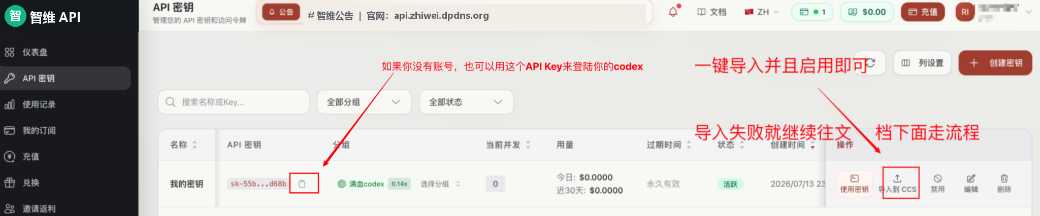 智维 API 密钥列表中用红框和箭头标出的导入到 CCS 按钮